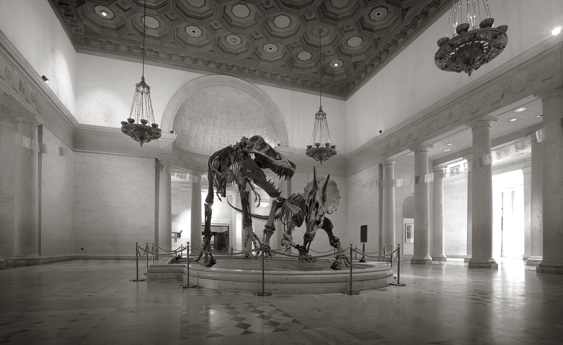 dinos